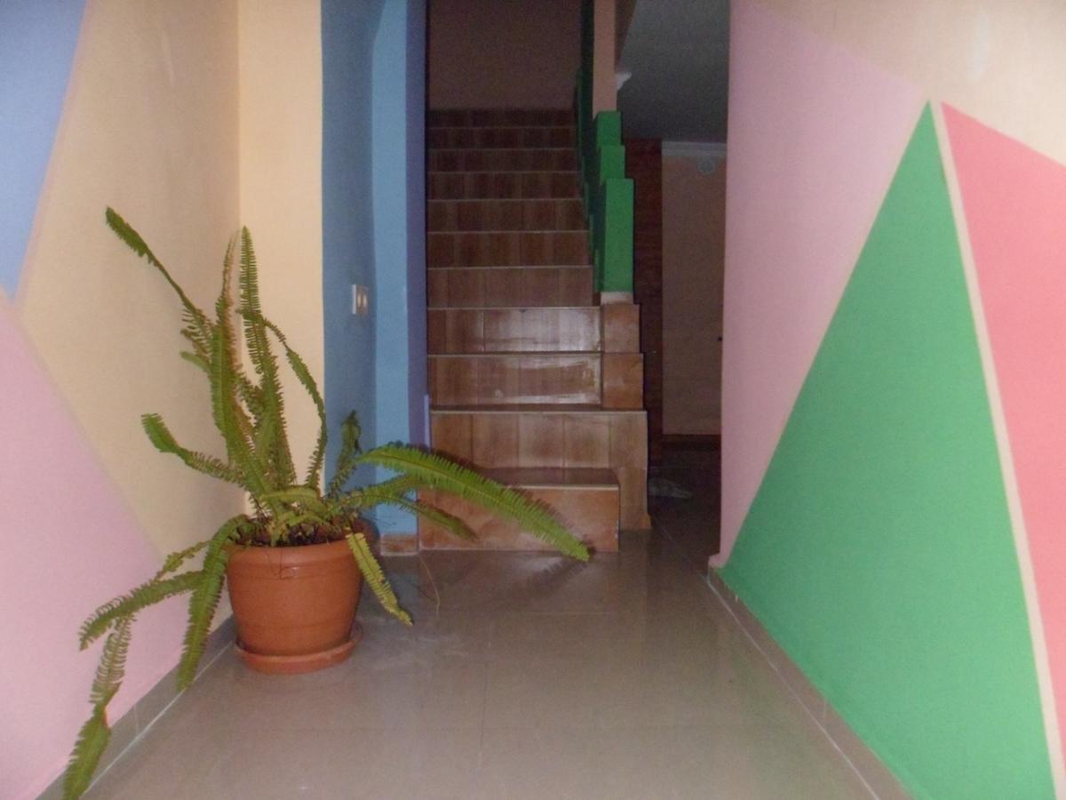 Everyday Cat Hostel Batumi Esterno foto